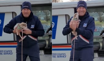 チワワの子犬が夢中になっている人は・・・毎日来てくれる配達員さん!!お家の前に来るとダッシュで駆けつけ、抱っこしてもらうとキスの嵐を降らすのでした