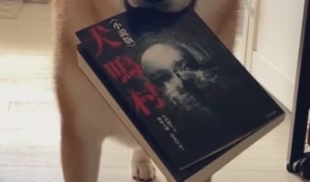 「それっぽい顔やめい」ホラー小説『犬鳴村』をくわえた柴犬の見せた顔芸のような絶妙な表情に、19万件以上のいいねがされる大反響!!