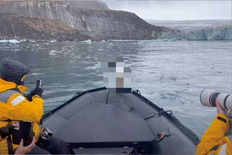 さすが南極？ボートに乗り合わせたのは、なんと『動物園の人気者』！？突如現れたこのかわいい珍客に、ボートに乗る観光客たちは興奮を隠しきれません