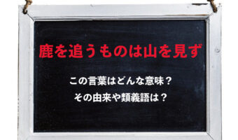 「鹿を追うものは山を見ず」とはどんな意味のことわざ?もともとは2つの言葉だった??