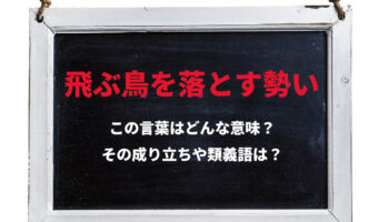 「飛ぶ鳥を落とす勢い」とはどんな意味の言葉？その由来や類義語は？
