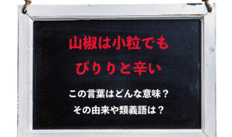 「山椒は小粒でもぴりりと辛い」とはどんな意味?その類義語や対義語は?