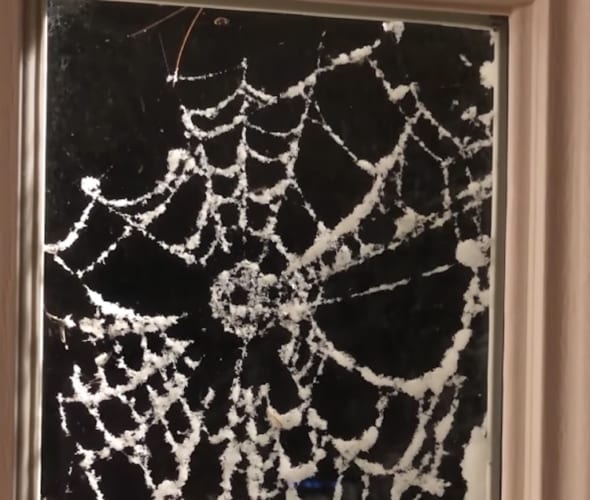 吹雪にも負けない耐久力を誇る蜘蛛の巣。雪の積もった蜘蛛の巣がなんだかカッコイイ！！