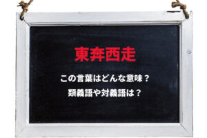 「東奔西走」とはどんな意味の言葉？その類義語や対義語は？