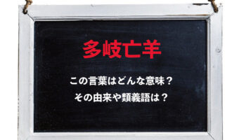 「多岐亡羊」とはどんな意味の四字熟語?その由来や類義語は?