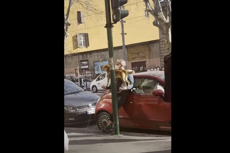 男性が犬を抱っこしてると思ったら・・・！見事なバランスで、男性の腕の上に立っている犬の姿に思わず二度見してしまう！！