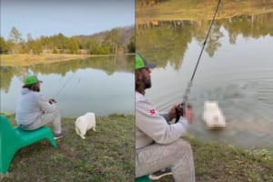 釣りをするパパさんのお手伝い？パパさんのそばにいたイングリッシュ・ブルドッグが池の中に進んでいきました！！