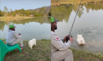 釣りをするパパさんのお手伝い?パパさんのそばにいたイングリッシュ・ブルドッグが池の中に進んでいきました!!