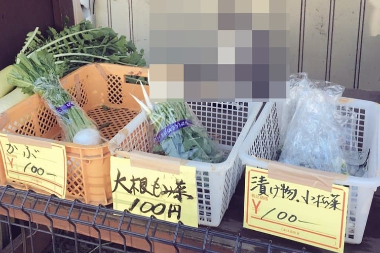 野菜の無人販売所に現れたかわいすぎる店員さん！これは買わずにはいられない！