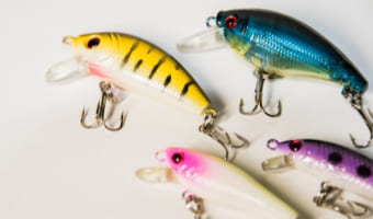 アジをプラグで釣ろう！！アジングをさらに楽しむコツ！！