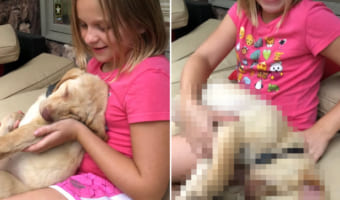 女の子の腕の中でぐっすり眠る子犬。完全に熟睡しているようで、女の子が支える手を離しても眠りこけて起きません