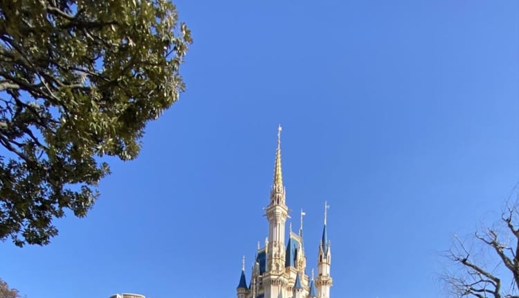 【ディズニーランドあるある】しゃがんでシンデレラ城を撮ろうとすると、高確率で○○がフレームインしてくる・・・。さて、なにが写り込みに来る？