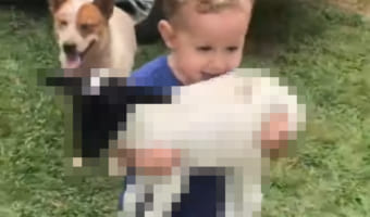 牧場で遊ぶ男の子。ヒツジの赤ちゃんをだっこして移動するその姿は、とても幸せそう!!笑顔にあふれています!!