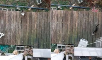 このお猫様専用エレベーター?!外から帰ってきた猫は、飼い主さんがおろした紐に繋がれたクレートに乗って優雅に帰宅するのです