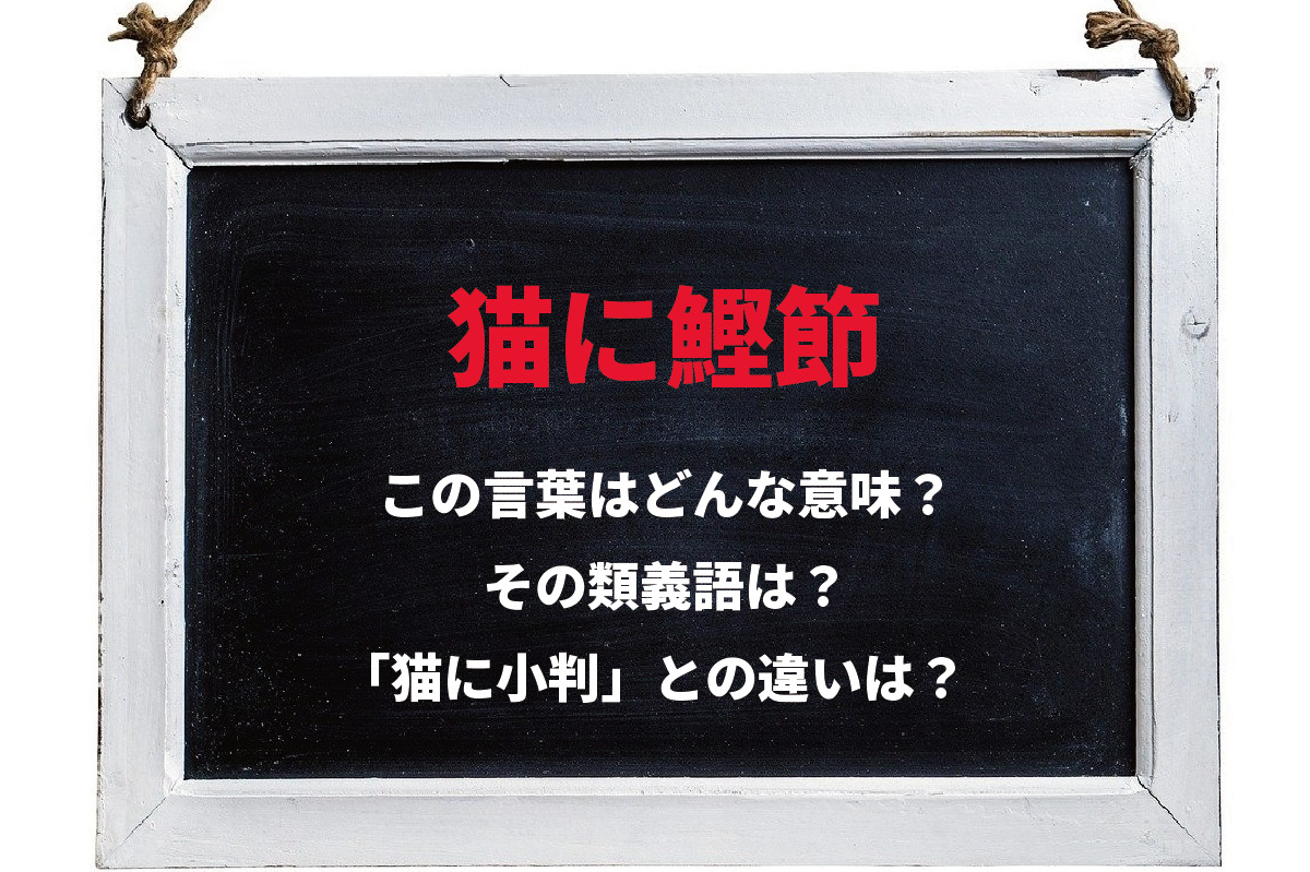 「猫に鰹節」とはどんな意味の言葉？「猫に小判」との違いや類義語は？