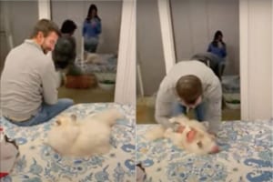 飼い主さんと遊ぶのが大好きな猫。しかし「遊んで！」とばかりに飛びかかるのは、飼い主さんがある仕草をするのを待ってから！！