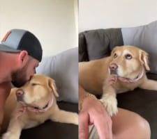 パパさんからおでこにキスをしてもらった犬。ところがまだまだ足りないみたい。「もういっかい」とばかりに、パパさんの手を取るのです