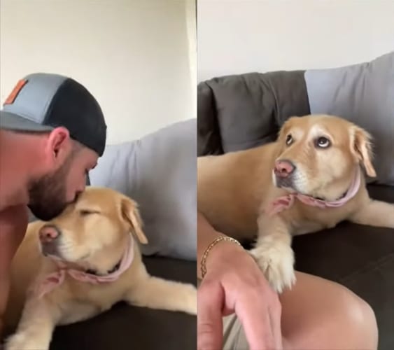 パパさんからおでこにキスをしてもらった犬。ところがまだまだ足りないみたい。「もういっかい」とばかりに、パパさんの手を取るのです