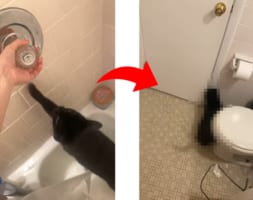 「こんな勢いだなんて聞いてニャい！」バスタブに水を張るようにおねだりをする猫。そこで水を出してあげると・・・、これは想定外だったみたい！！