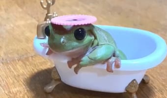 ミニチュアのバスタブでくつろぐイエアメガエル。シャンプーハットがお似合いなので気に入ってくれたかと思いきや・・・、この後の行動にビックリ！！