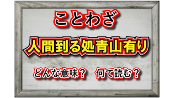「人間到る処青山有り」とはどんな意味の言葉？その由来は？「青山」とはなんのこと？