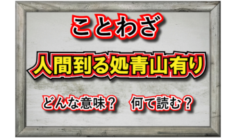 「人間到る処青山有り」とはどんな意味の言葉?その由来は?「青山」とはなんのこと?