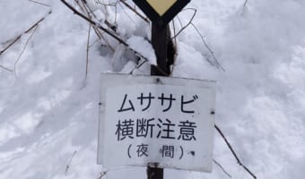 「なにこのクッソ可愛い看板」軽井沢の山道で撮影された『ムササビ横断注意』の道路標識がゆるくてかわいい【16万件以上のいいねが集まる大反響】