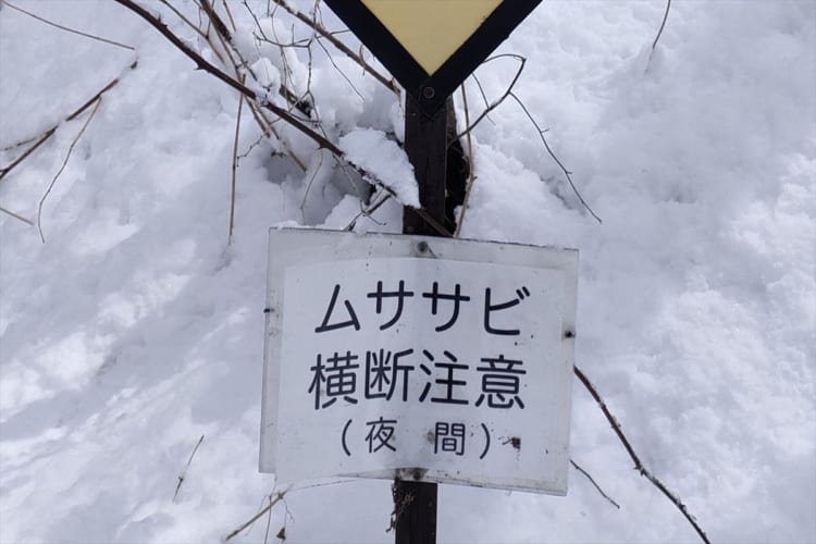 「なにこのクッソ可愛い看板」軽井沢の山道で撮影された『ムササビ横断注意』の道路標識がゆるくてかわいい【16万件以上のいいねが集まる大反響】
