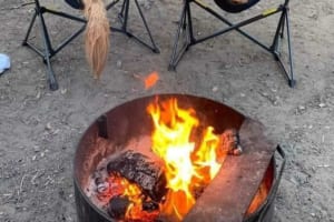 キャンプを楽しむ2匹のゴールデンレトリバー。ただ座っているだけだけど、その姿に見ているだけでほっこり