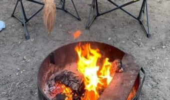 キャンプを楽しむ2匹のゴールデンレトリバー。ただ座っているだけだけど、その姿に見ているだけでほっこり