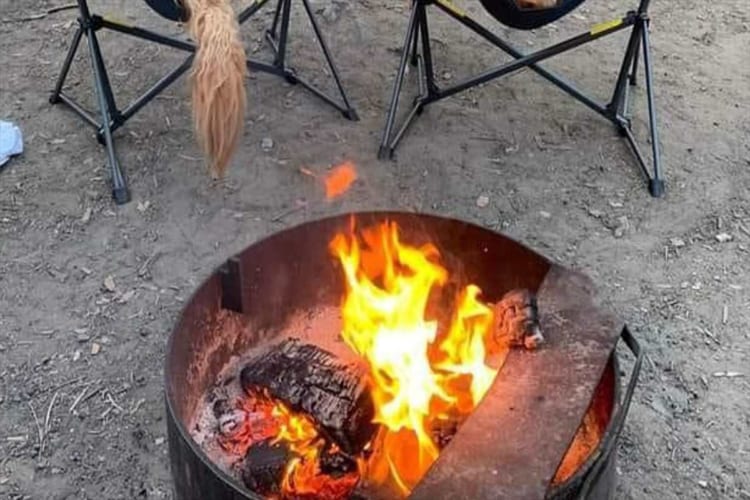 キャンプを楽しむ2匹のゴールデンレトリバー。ただ座っているだけだけど、その姿に見ているだけでほっこり