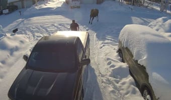 臨場感あふれる幻想的な映像。カザフスタンにあるのボグダノビッチ氷河の洞窟を探索したら、スゴい世界が広がっていました!!