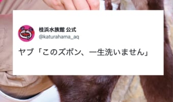 「このズボン、一生洗いません」 桂浜水族館の飼育員さんがそう誓ったとってもかわいい理由とは？！