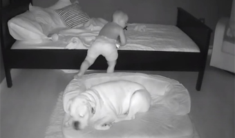 ベッドで寝ているはずの赤ちゃんが毎朝ワンコの横に！？不思議に思い監視カメラで確認するとその理由がわかった！【過去の人気記事】