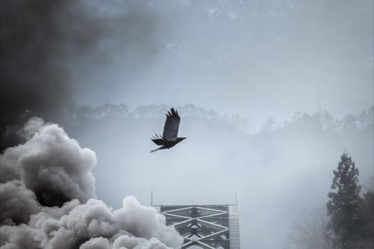 【奇跡の一枚】カラスを撮影するつもりが、『とあるもの』が入り込んでスゴい写真に!その一枚に、Twiterで14万いいねが集まる大きな反響が!
