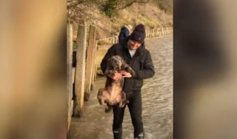 まだ水中にいる気分!?シャーペイが飼い主さんにだっこされて移動しているのですが・・・、それでも犬かきを続けているのでした