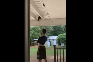 天井の裏で立ち往生している子猫。この子を助けようとした男性は自分のシャツの裾を引っ張ると・・・、ナイスキャッチすることに成功しました！！