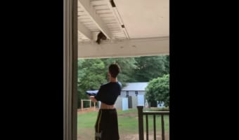 天井の裏で立ち往生している子猫。この子を助けようとした男性は自分のシャツの裾を引っ張ると・・・、ナイスキャッチすることに成功しました!!