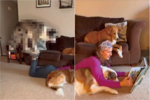 愛犬たちに読み聞かせするように本を見せてあげる飼い主さん。・・・ところで、その足元でスゴい曲芸が繰り広げられていますよ！！