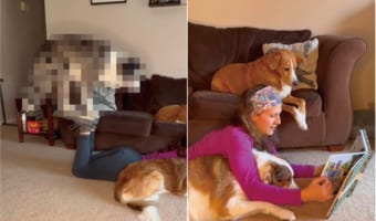 愛犬たちに読み聞かせするように本を見せてあげる飼い主さん。・・・ところで、その足元でスゴい曲芸が繰り広げられていますよ！！