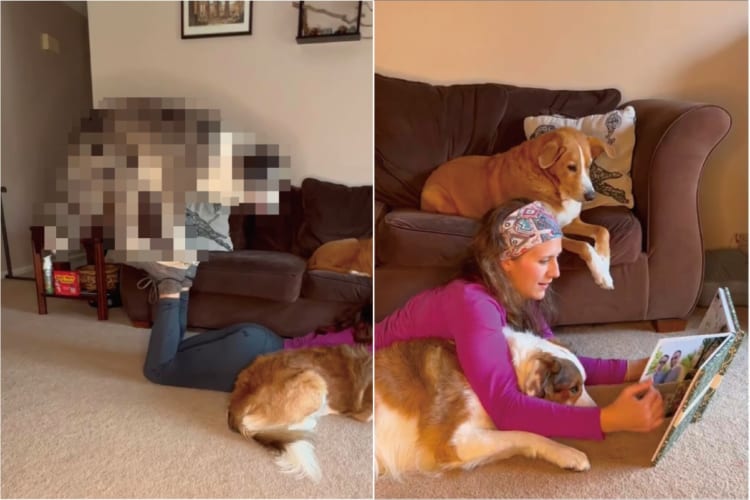 愛犬たちに読み聞かせするように本を見せてあげる飼い主さん。・・・ところで、その足元でスゴい曲芸が繰り広げられていますよ！！