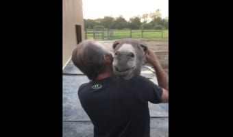 男性にすっかり懐いているのか、完全に身を任せてうっとりするロバ。男性の歌声を聴いて幸せそうなその姿にほっこり