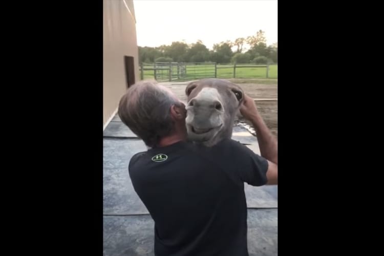 男性にすっかり懐いているのか、完全に身を任せてうっとりするロバ。男性の歌声を聴いて幸せそうなその姿にほっこり