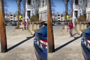 お散歩がとても楽しいのかな？犬がピョンピョン歩道を跳ねながら進んでいるその姿は、とてもご機嫌なようにしか見えません！！