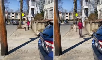 お散歩がとても楽しいのかな?犬がピョンピョン歩道を跳ねながら進んでいるその姿は、とてもご機嫌なようにしか見えません!!
