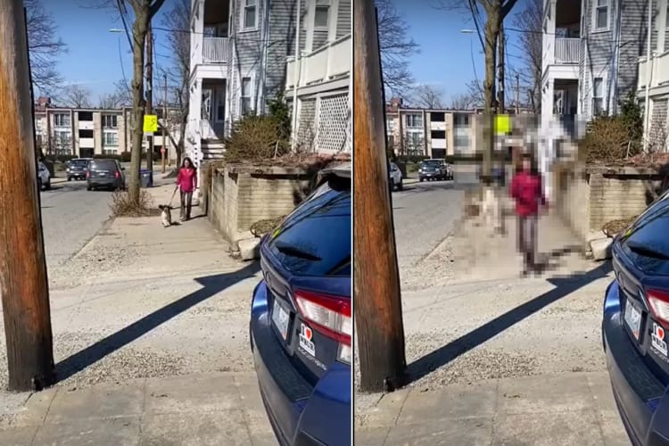 お散歩がとても楽しいのかな？犬がピョンピョン歩道を跳ねながら進んでいるその姿は、とてもご機嫌なようにしか見えません！！