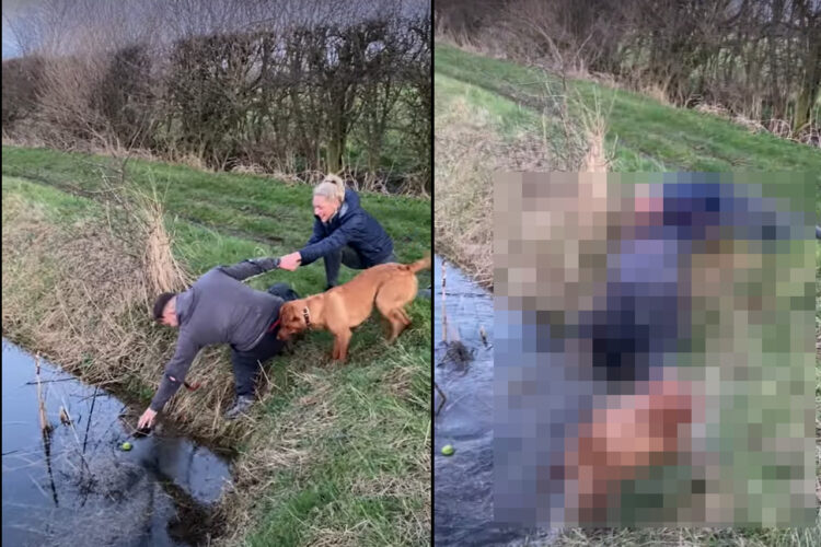 ラブラドールがオモチャにしていたボールが池に落ちちゃった！！協力して拾ってあげようと思ったら・・・この後てんやわんやの大パニックに！！