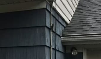 そこは木の幹じゃないから止めて・・・。壁を叩く音がしたので確認してみると、『あの生き物』が壁に穴を開けようとばかりに突いていました！！