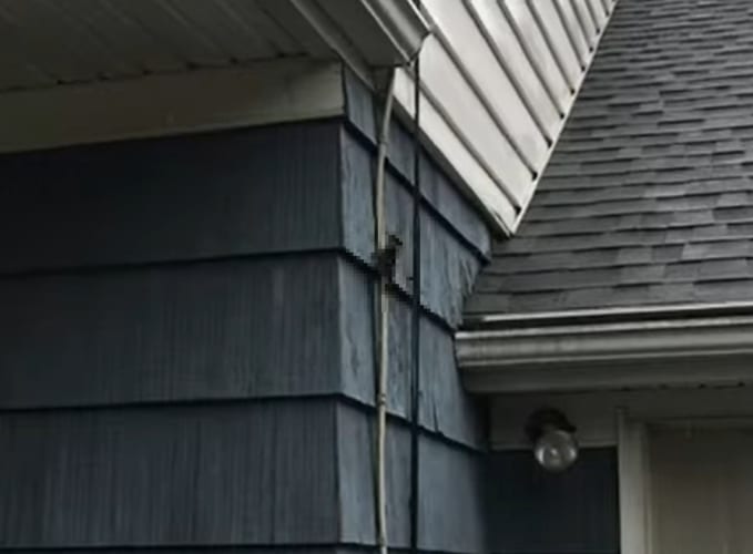 そこは木の幹じゃないから止めて・・・。壁を叩く音がしたので確認してみると、『あの生き物』が壁に穴を開けようとばかりに突いていました！！