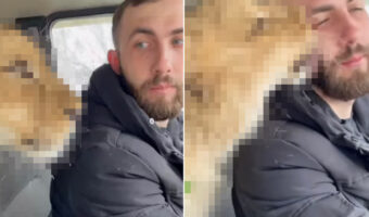 顔を寄せたりペロペロ舐めたりと、飼い主さんにすっかり懐いた姿を見せてくれたのは・・・、猫と思いきや『あの猛獣』でした!!